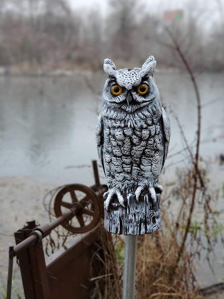 Snow White Decoy Owl - 16" Natural Enemy Winter Scarecrow Bird
