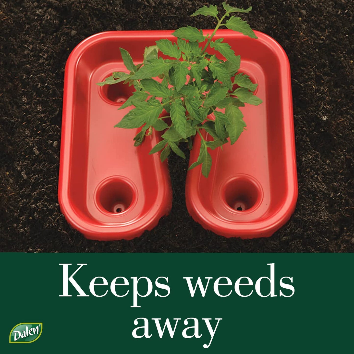 Automator Tomato Growth Trays, 3-Pack, Square Foot Sun Reflector for Faster Ripening, by Dalen Products
